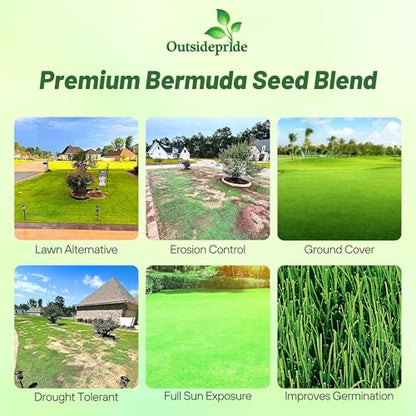 Outsidepride Oasis Bermuda Grass Seed - 25 lbs Warm Season, High Traffic, Heat Resistant, Drought-Tolerant, Low-Maintenance, Fast Growing Turf Grass for Lawn, Ideal for Sunny Areas, Thick Coverage - size: 25 lb.