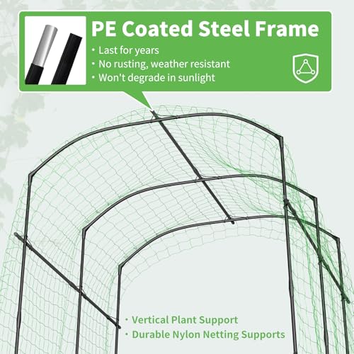 DoCred 87''H x 75''L Garden Arch Trellis, Metal Trellis for Climbing Plants - size: 75'' L x 71'' W x 87'' H/Black