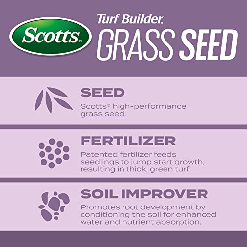 Scotts Turf Builder Grass Seed Perennial Ryegrass Mix, 5.6 lbs. - size: 5.6 lb.