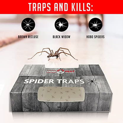 Trap a Pest Indoor Sticky Spider Traps - Glue Traps - 16 Pack - size: 16 Pack