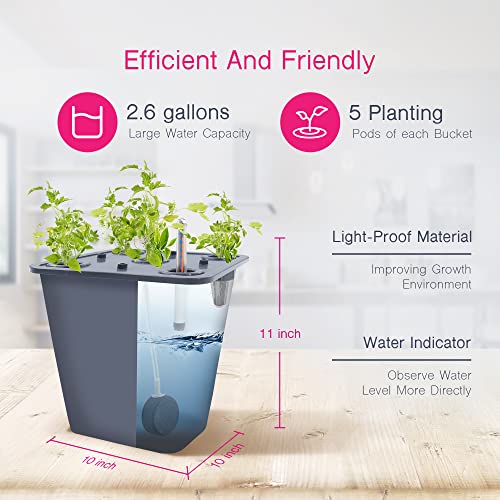2 Hydroponic Buckets Kit for Plants, Hydroponics Growing System for Herbs/Tomato/Vegetables, DWC System with Air Pump & Germination Tray (Complete Indoor Hydroponic Gardening Supplies) - size: 2 Buckets Kit (Grey)