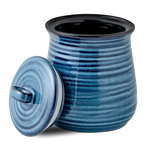 HASENSE Ceramic Food Storage Jar, Coffee Canister with Lid, Cookie Candy Jar for Kitchen, Serving for Dog Treat Sugar Loose Tea Flour Coffee Beans Rice Snack Storage 30 FL OZ (Blue) - color: Blue-30 Oz