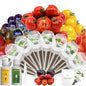 Mixed Cherry Tomato Seed Pod Kit Compatible with AeroGarden, Ahopegarden,URUQ, LETPOT Hydroponic Growing System, 8 Complete Pods with Red, Golden, Black, Purple & Strawberry Fruit Tomato Seeds - color: Mixed Tomato