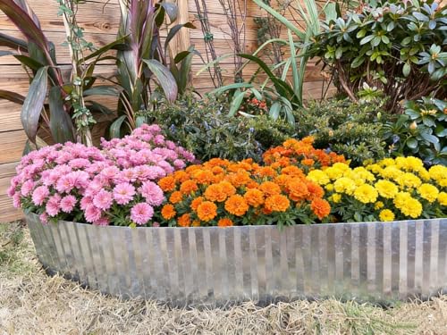 Anleolife Galvanized Steel Landscape Edging Roll, 40FT x 4" Silver - color: Silver, size: 4 inch× 40 ft