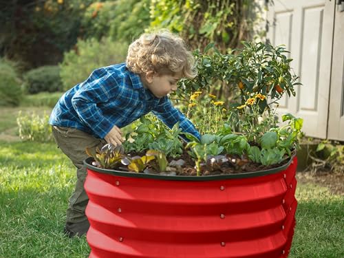 Plant & Plot Galvanized Raised Garden Beds Outdoor // 4×2×1 ft (2-Pack) Planter Raised Beds for Gardening, Vegetables, Flowers (Red) // Large Metal Garden Box - color: Red