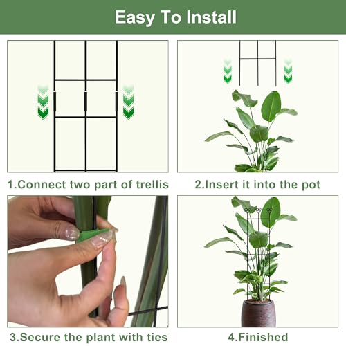 Coomin 32in Monstera Plant Support Trellis for Indoor Plants, 2P - size: 32in/2p