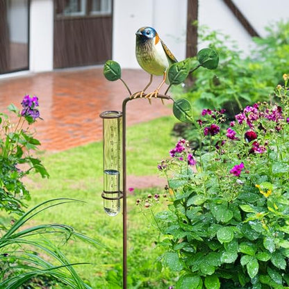 Bits and Pieces Bird Rain Gauge, 5 Inch Glass Tube, 39" Tall