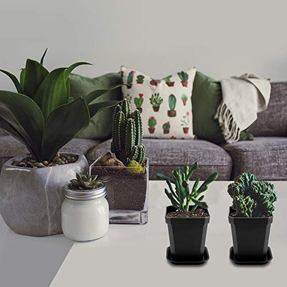 30Pcs 3" Nursery Pot with 30 Saucers Black, Square Plastic Plants Pots - color: Black