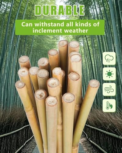 Natural Bamboo Plant Stake（Approx 5FT 50Pcs） Sturdy Bamboo Poles, Durable Plant Bamboo Stake, Garden Climbing Plant Bracket. - size: 4.8ft-50pcs