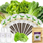 Salad Greens Seed Pod Kit for Hydroponic System-7 Pods - color: Salad, size: 7-pod