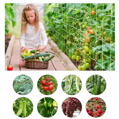 Heavy Duty Garden Trellis Netting, 6 x 15 ft, White, Rectangular, Polyester Nylon, Climbing Plant Support Netting, Garden - size: 6x15ft - 2 Pack