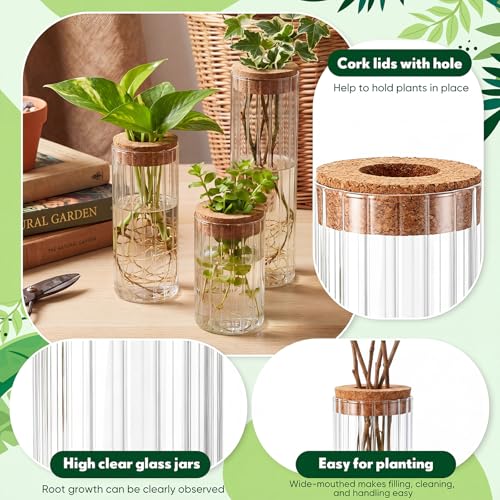 6 Sets Glass Plant Propagation Vases Cork Lid, 3 Size Desktop