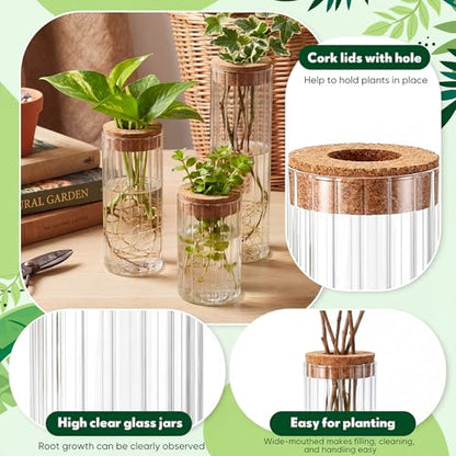 6 Sets Glass Plant Propagation Vases Cork Lid, 3 Size Desktop