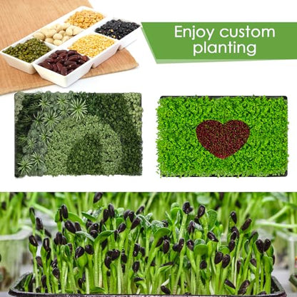 6 Pack Microgreens Growing Kit, Microgreens Trays for Indoor Gardening - size: 15in-6P with 12 Mats
