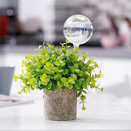 [6 PCS] Light Iridescent Rainbow Gradient Color Clear Glass Self-Watering System Spikes, Automatic Plant Waterer Bulbs - color: Iridescent 6-Pack