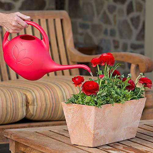 Novelty 30605 Indoor Watering Can, 1/2 Gallon, Red - color: Red