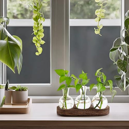 Mkono Plant Propagation Station, Desktop Glass 3 Bulb Vase Brown Wood Tray - color: Brown, size: Medium