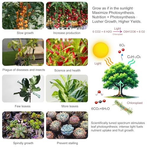 2 Pack LED Grow Light Panel Full Spectrum Lamp for Indoor Plants - color: Full Spectrum