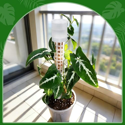 6 Pack Adjustable Moss Pole Watering Dripper, Self Watering Planter Insert