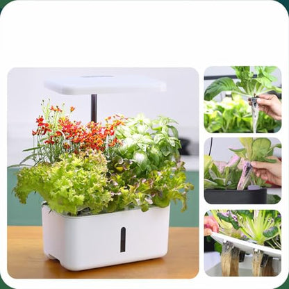 Hydroponic Grow Sponges | 20 Pieces Growing Replacement Blocks | Hydroponic Sponges Replacement | for Lettuce Vegetables Flowers Soil Systems Yard Farm Porches Courtyards Balconies Terraces