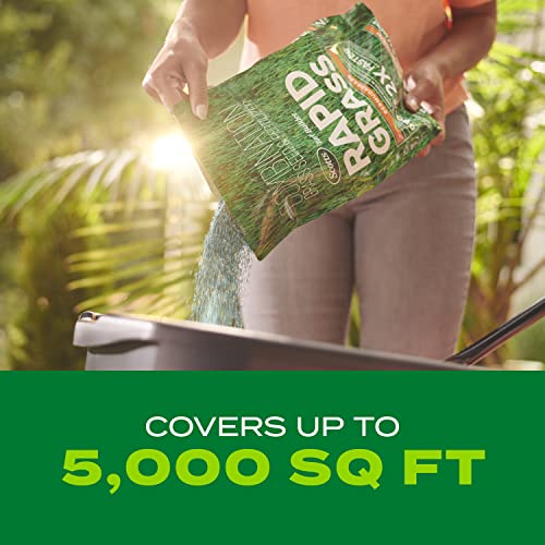 Scotts Turf Builder Rapid Grass Bermudagrass, 4 lbs. - size: 4 lb.
