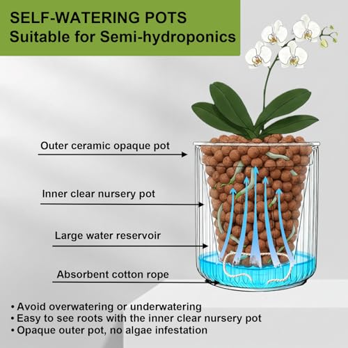 Small Ceramic self Watering Pot for Succulents, 4 inch, White,2pack - color: White, size: 4 inch