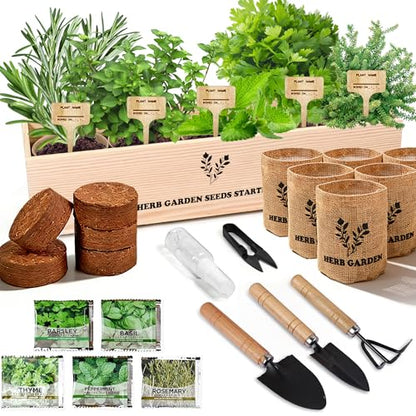 Indoor Herb Garden Starter Kit, 5 Seeds Growing into Basil, Parsley, Rosemary, Thyme, Mint, Including A Planter Box, Soil Discs & Planters with A Gift Box for Women