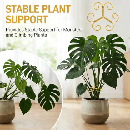 5Pcs Plant Stem Support Iron Monstera Plants Supports - color: Gold