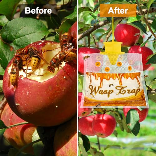 Disposable Wasp Traps Outdoor Hanging 4 Pack - size: 4 packs