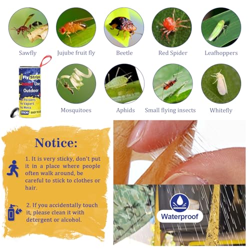 16 Pcs Fly Trap Strips Indoor Outdoor, Fruit Fly Paper Tape Sticky with Pin - size: 16 pack