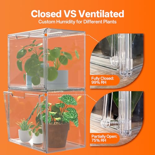 Bstrip Small Tabletop Greenhouse with Grow Light, Indoor Seed Starter Kit