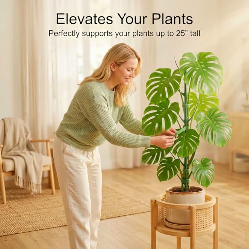 10-Pack Monstera Plant Support Stakes - Stackable Sticks
