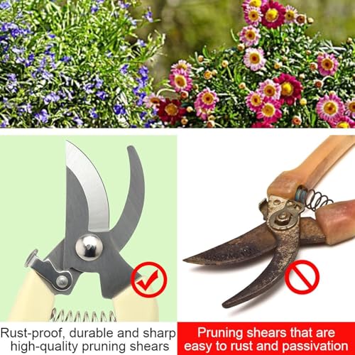Premium Branch Pruning Shears, Stainless Steel Blade Drop Forged Body and Handle, Ultra Fine Polished Gardening Shears for Tree Trimming Shaping Deadheading