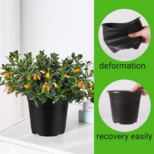 100 Pack 0.5 Gallon Plastic Plant Nursery Pots - size: 0.5Gallon(100pack)