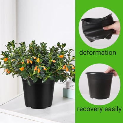 100 Pack 0.5 Gallon Plastic Plant Nursery Pots - size: 0.5Gallon(100pack)