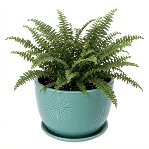 MyGift 7-Inch Turquoise Ceramic Planter Pot with Drainage Hole & Saucer - color: Turquoise