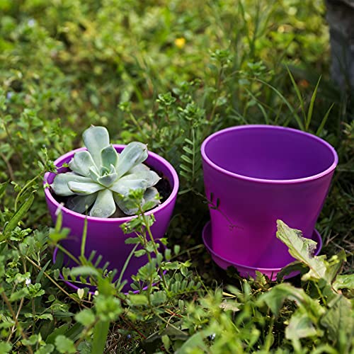 TDHDIKE 10 Pcs Plastic Planters Indoor Flower Plant Pots (5color) - color: 5color 25