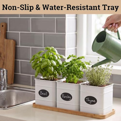 Herb Planter Indoor, 3-pc Herb Pots w/ Drainage Holes, Bamboo Tray & Labels - color: White