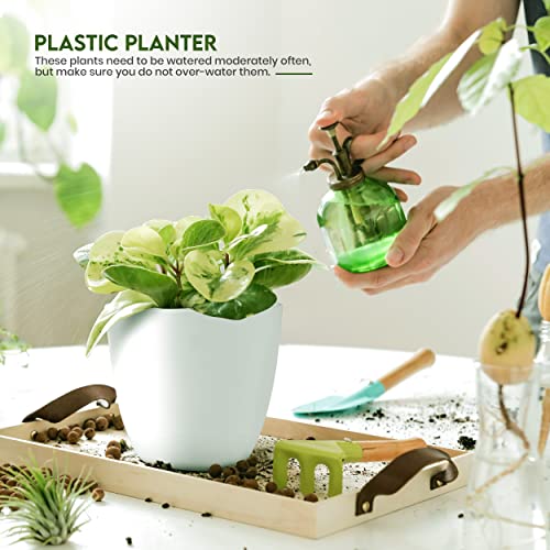Plant Pots Indoor with Drainage, 5 Pack Multi-Size Planters Set, White - color: White, size: Pack of 5