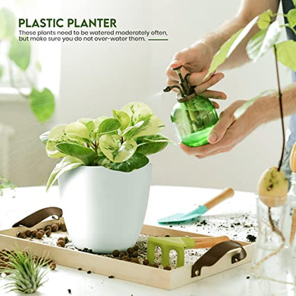 Plant Pots Indoor with Drainage, 5 Pack Multi-Size Planters Set, White - color: White, size: Pack of 5
