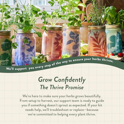 Modern Sprout Mason Garden Jar - Self-Watering Hydroponics Kit - Cilantro - color: Cilantro, size: Garden Jars