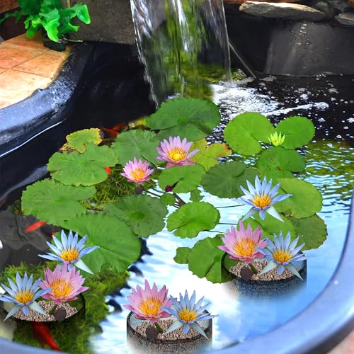 4 Pcs Aquatic Pond Planting Bags, Reusable Mesh Water Garden Pond Plant Pot - color: Black, size: Round