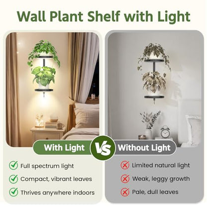 LASZOLA Plant Hanger Holder Shelf Wall Indoor with Lights, 2 Pcs Black - color: Dark Grey, size: 2
