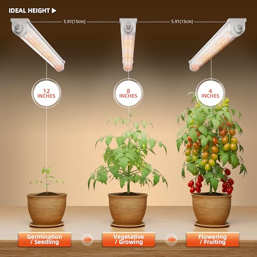 Spider Farmer 2FT T5 LED Grow Lights for Indoor Plants, 5000K 3000K 660nm Full Spectrum 80W (4x20W), IP65 Waterproof Linkable LED Plant Light Strips, 4-Pack for Seed Starting Hydroponics - size: 80W, Standard