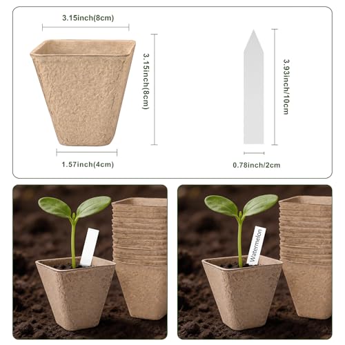 3.15 Inch Peat Pots 60 Pack, Square Seed Starting Pots with Plant Labels