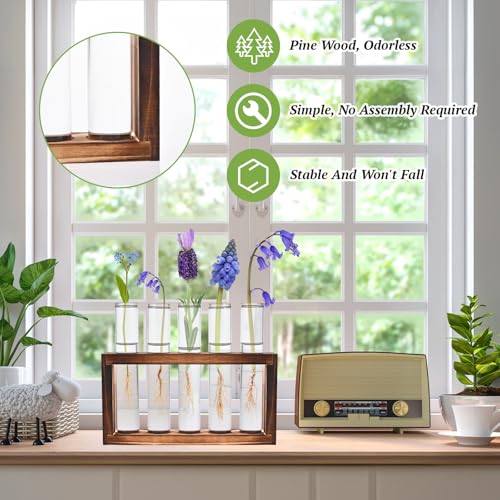 Tigvio 2pcs Desktop Glass Plant Propagation Station (10 Tubes) - size: 10 Tubes
