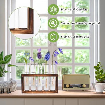 Tigvio 2pcs Desktop Glass Plant Propagation Station (10 Tubes) - size: 10 Tubes