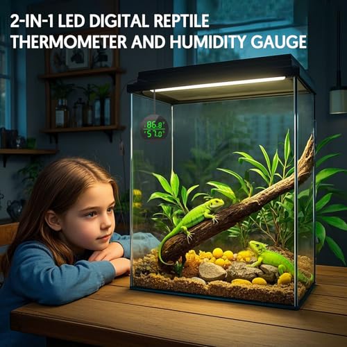 QZQ Reptile Thermometer and Humidity Gauge, Digital Display, Black - color: Black
