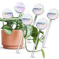 [6 PCS] Light Iridescent Rainbow Gradient Color Clear Glass Self-Watering System Spikes, Automatic Plant Waterer Bulbs - color: Iridescent 6-Pack