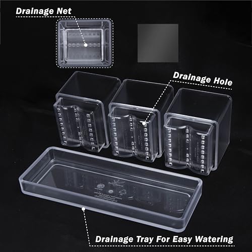 D'vine Dev 2-Pack Acrylic Herb Garden Planter Set, Clear, 76-V-D-2 - color: Clear, size: 24"